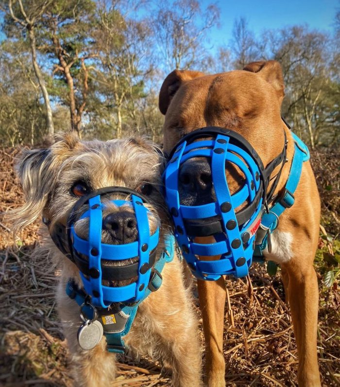 Amos and Toby