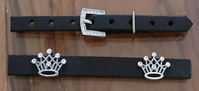Big Silver Crown with Buckle Suite