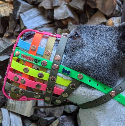 Custom Standard Muzzles