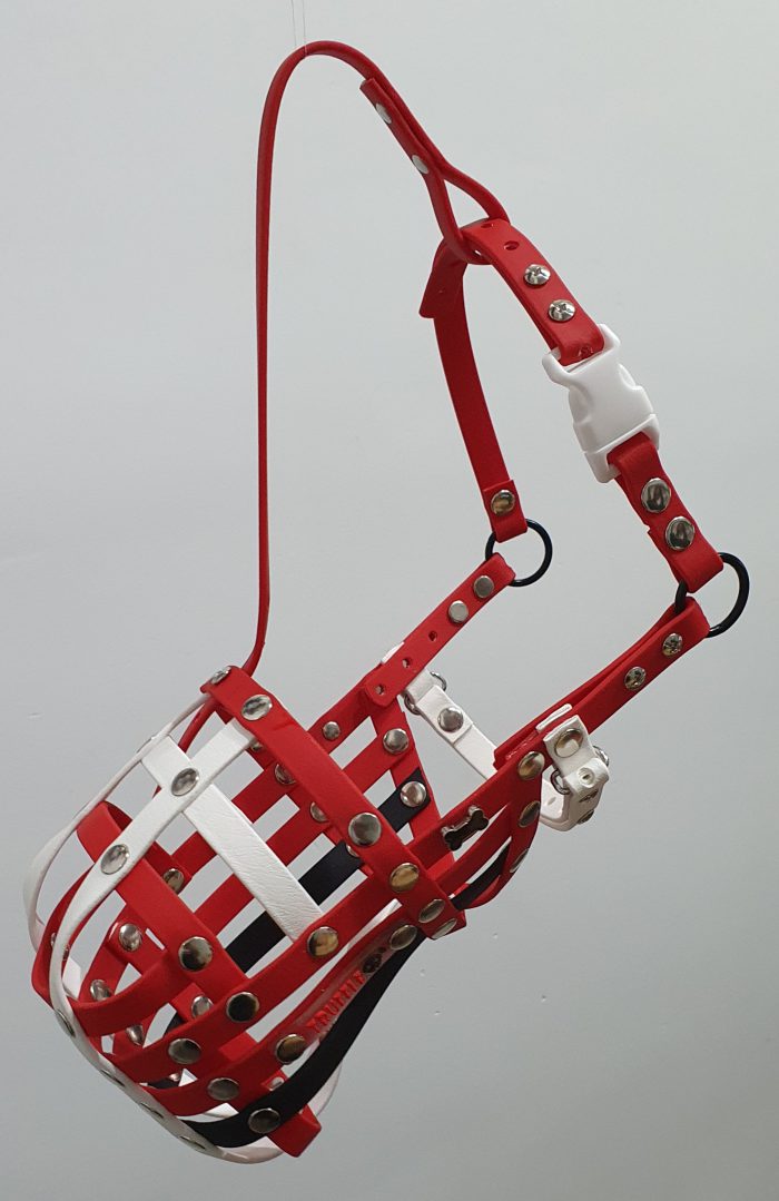 Dexter - Image 2