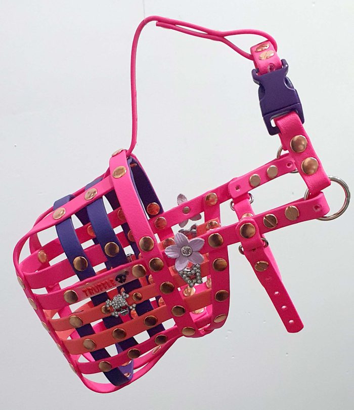 Pink Daya - Image 2