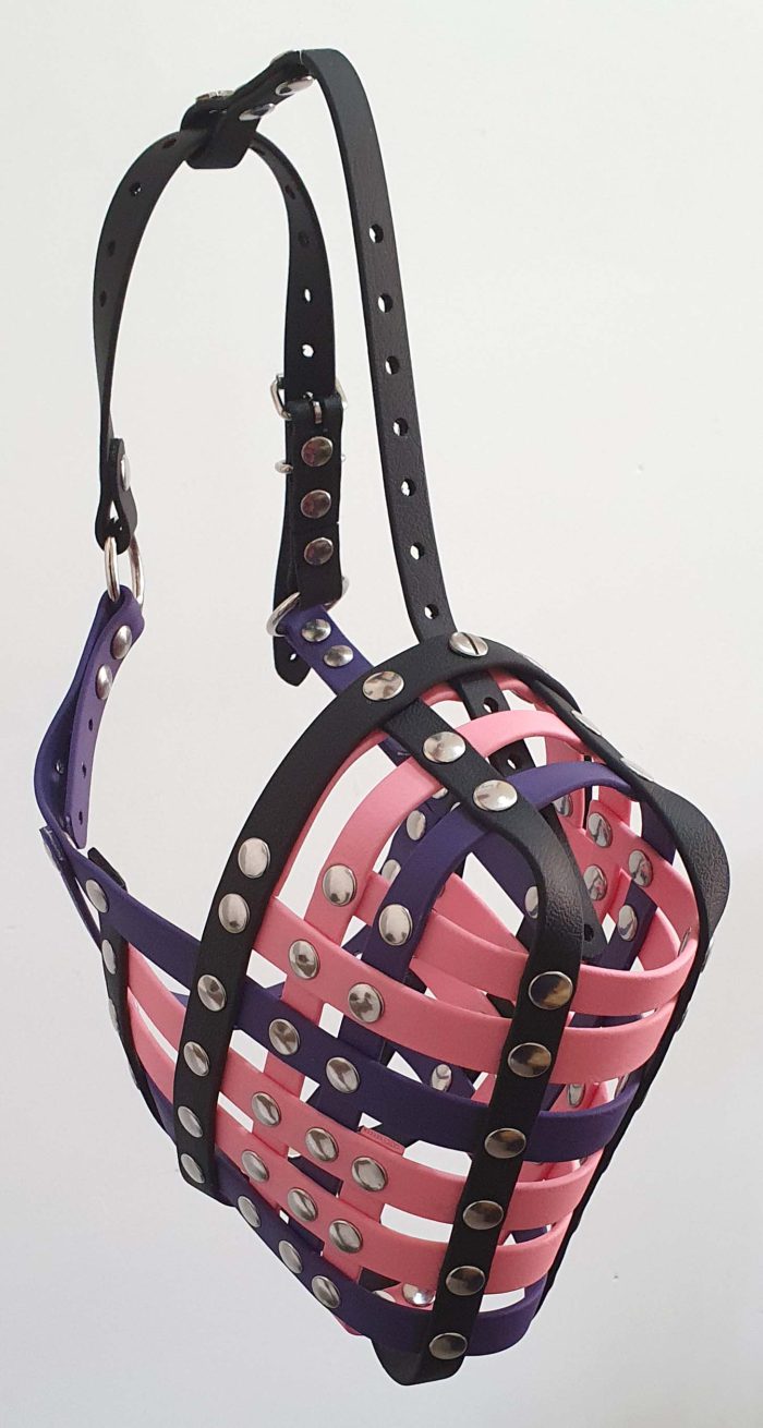 Lola - Image 2