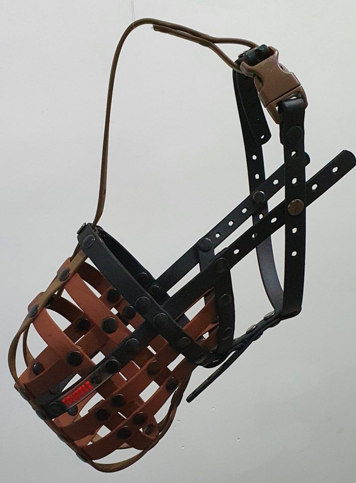 Lucy - Image 2