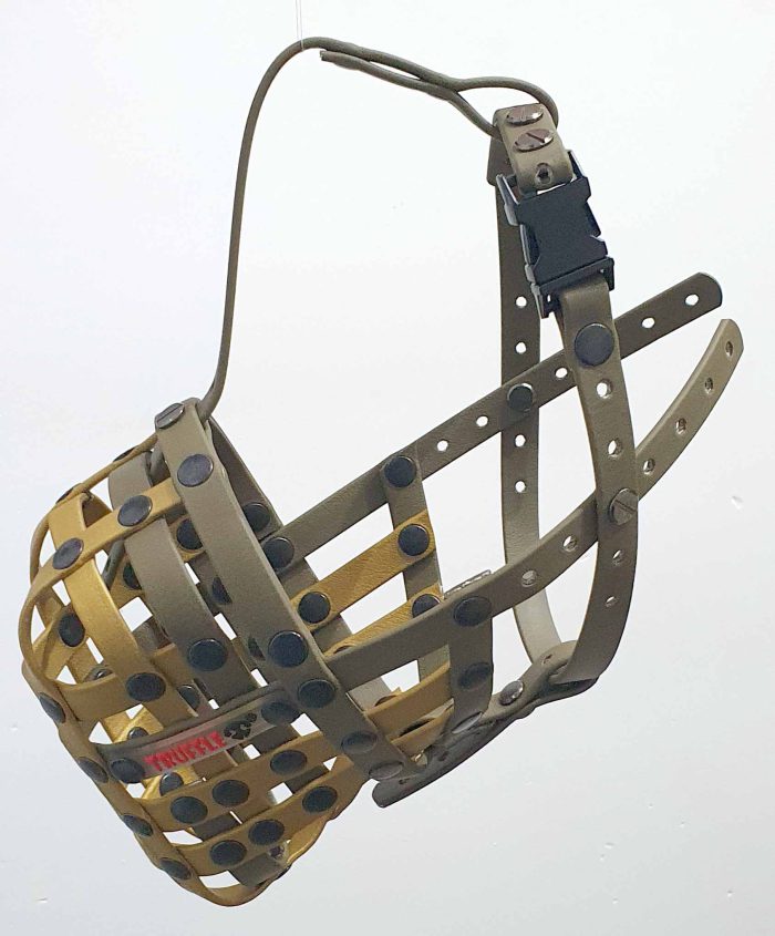 Oxoi - Image 2