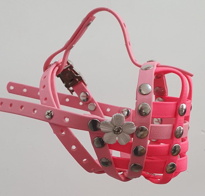 Pink Lady Frenchy