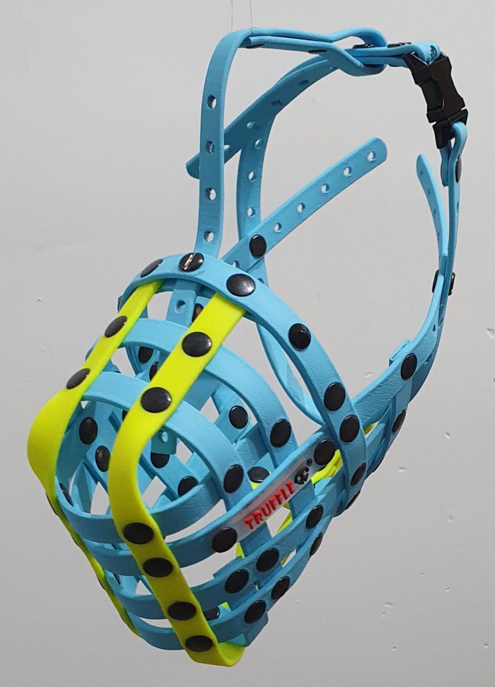 Tank - Image 2