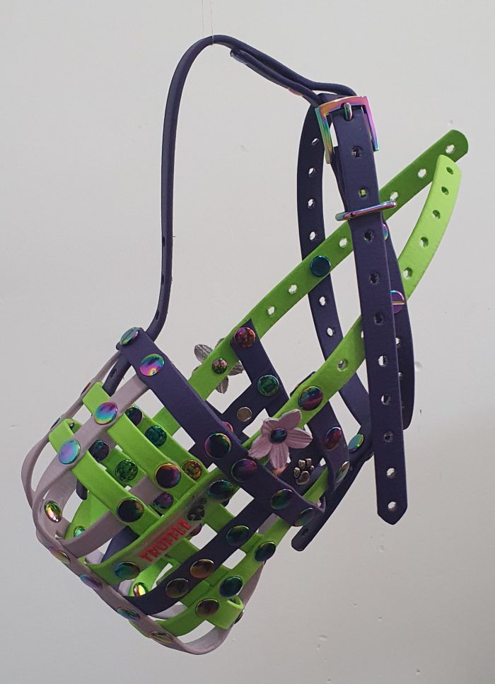 Vena - Image 2