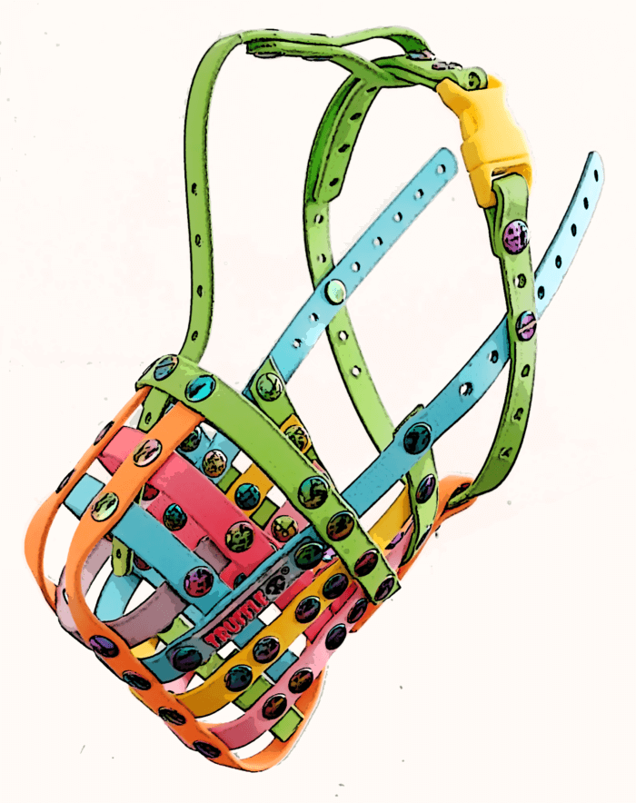 Custom BIOTHANE Muzzles