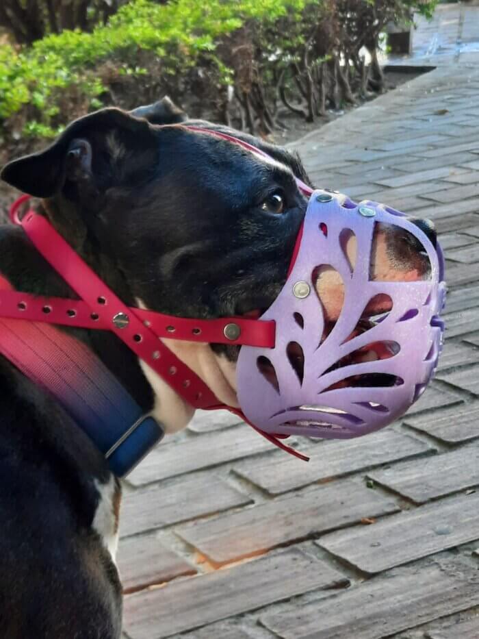 Lila Pastel TPU Custom Muzzle