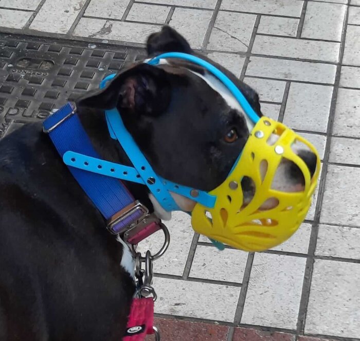 Solid Yellow TPU Custom Muzzle